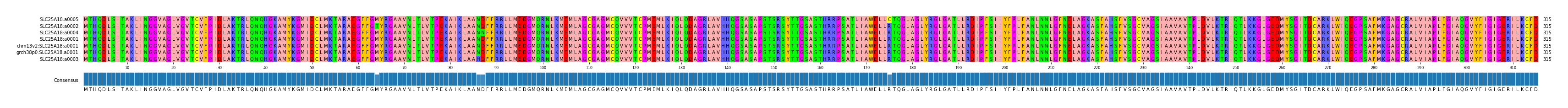 Multiple Alignments (by translate haplotype similarity)