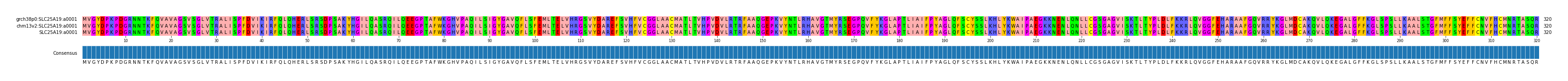 Multiple Alignments (by translate haplotype similarity)