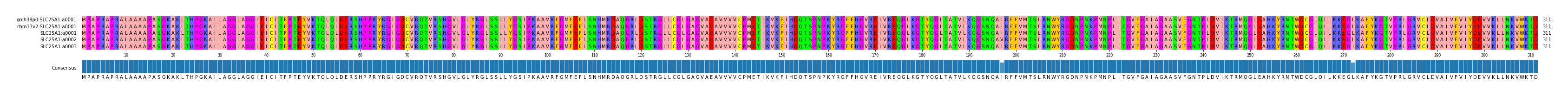 Multiple Alignments (by translate haplotype frequency)
