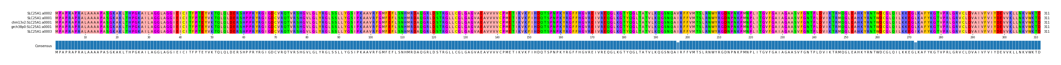 Multiple Alignments (by translate haplotype similarity)