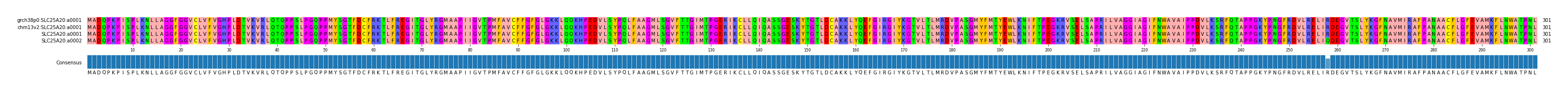 Multiple Alignments (by translate haplotype similarity)