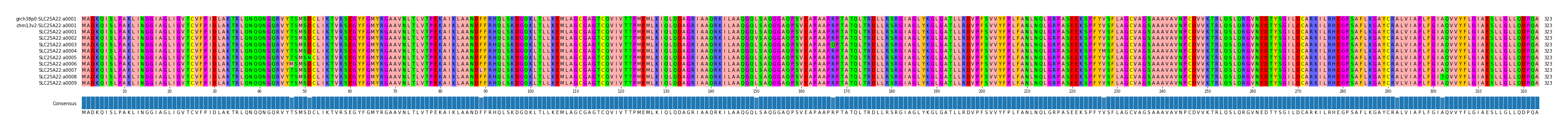 Multiple Alignments (by translate haplotype frequency)