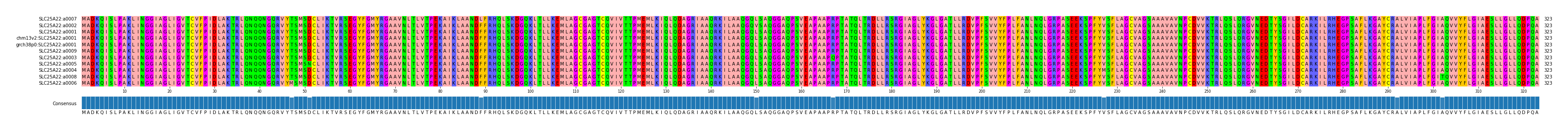 Multiple Alignments (by translate haplotype similarity)