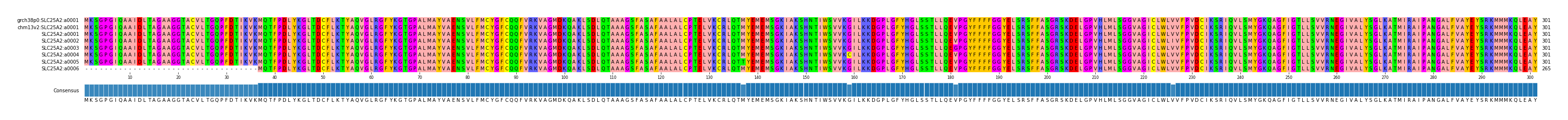 Multiple Alignments (by translate haplotype frequency)