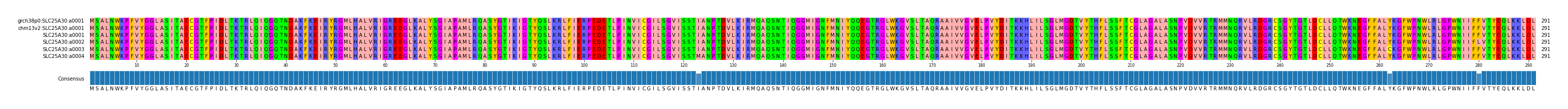 Multiple Alignments (by translate haplotype frequency)