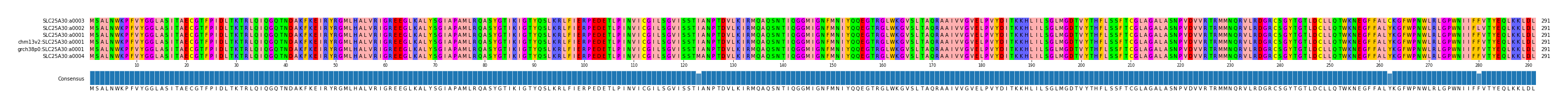 Multiple Alignments (by translate haplotype similarity)
