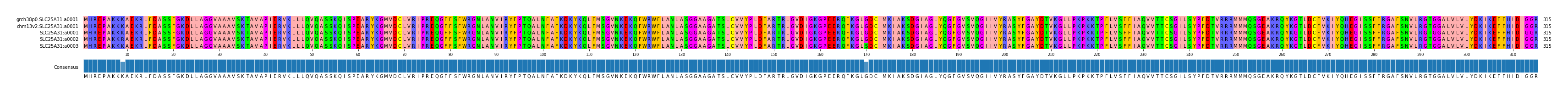 Multiple Alignments (by translate haplotype frequency)