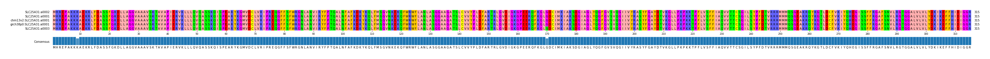 Multiple Alignments (by translate haplotype similarity)