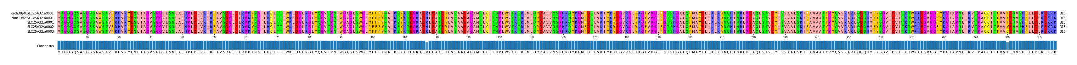 Multiple Alignments (by translate haplotype frequency)