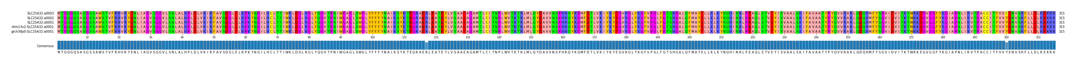 Multiple Alignments (by translate haplotype similarity)