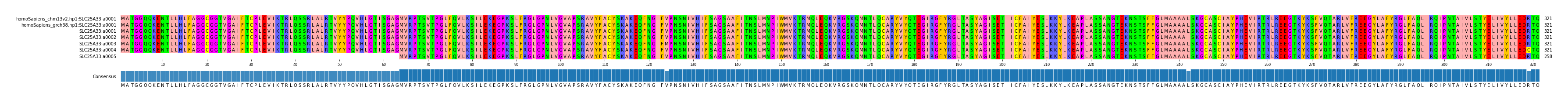 Multiple Alignments (by translate haplotype frequency)