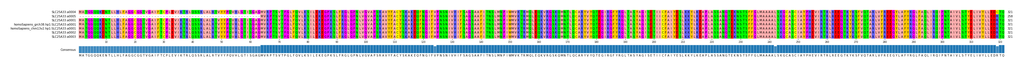Multiple Alignments (by translate haplotype similarity)