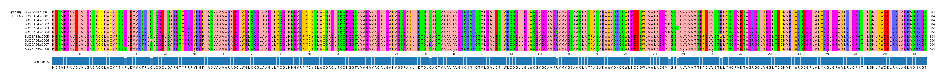 Multiple Alignments (by translate haplotype frequency)