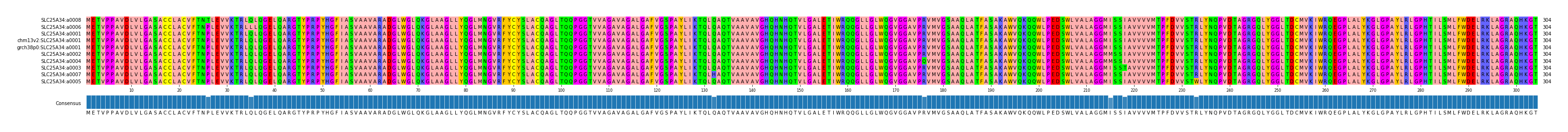 Multiple Alignments (by translate haplotype similarity)