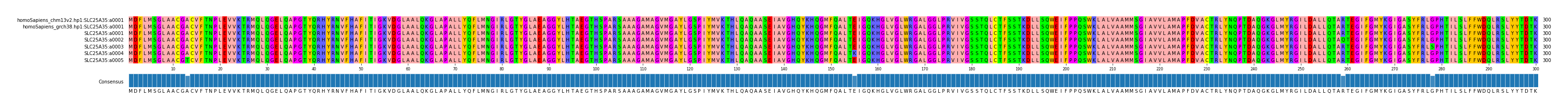 Multiple Alignments (by translate haplotype frequency)