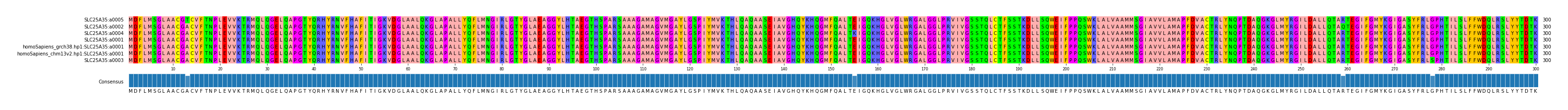 Multiple Alignments (by translate haplotype similarity)