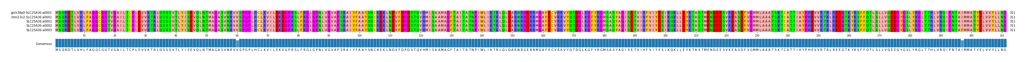 Multiple Alignments (by translate haplotype frequency)