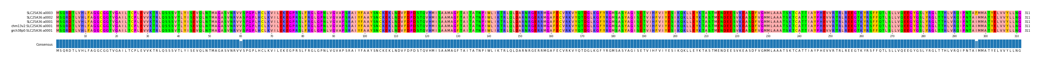 Multiple Alignments (by translate haplotype similarity)