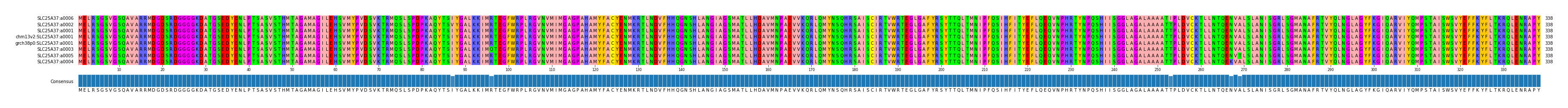 Multiple Alignments (by translate haplotype similarity)