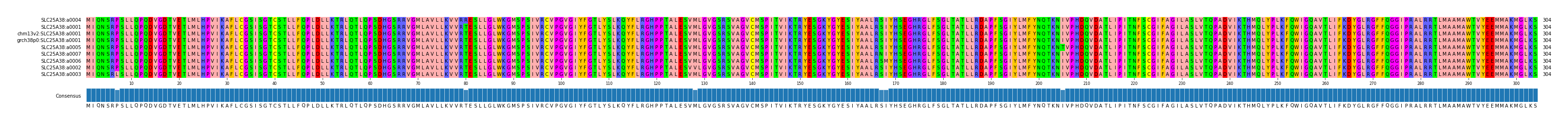 Multiple Alignments (by translate haplotype similarity)