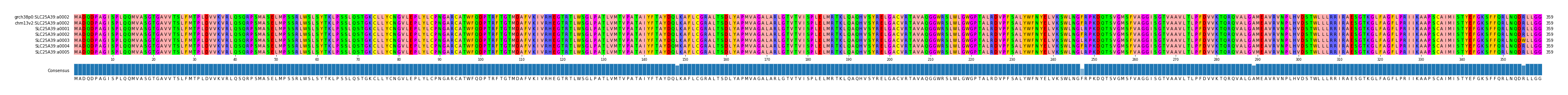 Multiple Alignments (by translate haplotype frequency)
