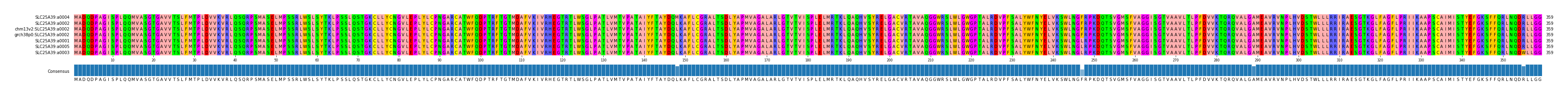 Multiple Alignments (by translate haplotype similarity)