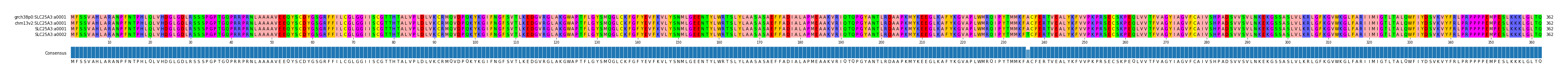 Multiple Alignments (by translate haplotype similarity)