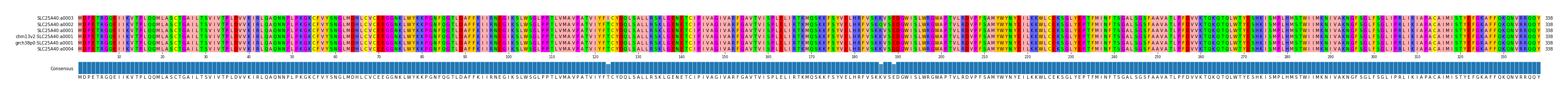 Multiple Alignments (by translate haplotype similarity)