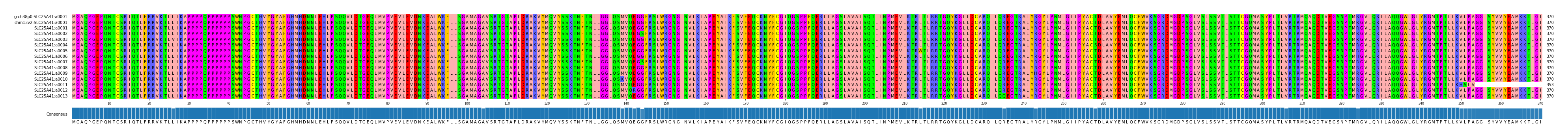 Multiple Alignments (by translate haplotype frequency)