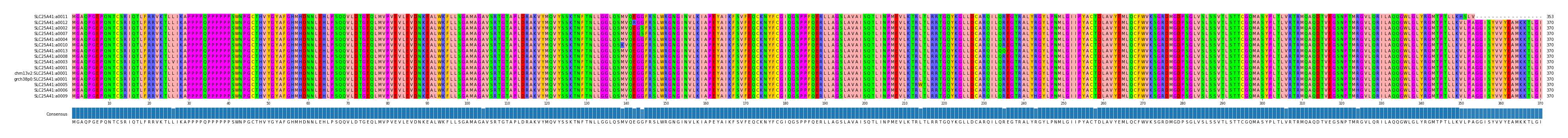 Multiple Alignments (by translate haplotype similarity)