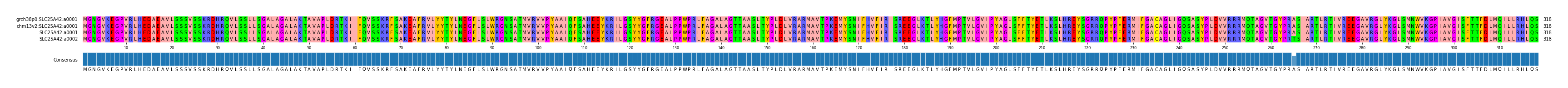 Multiple Alignments (by translate haplotype similarity)