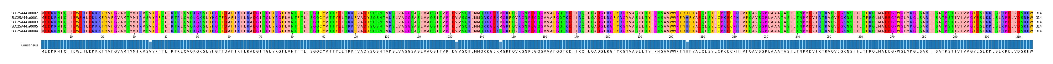 Multiple Alignments (by translate haplotype similarity)