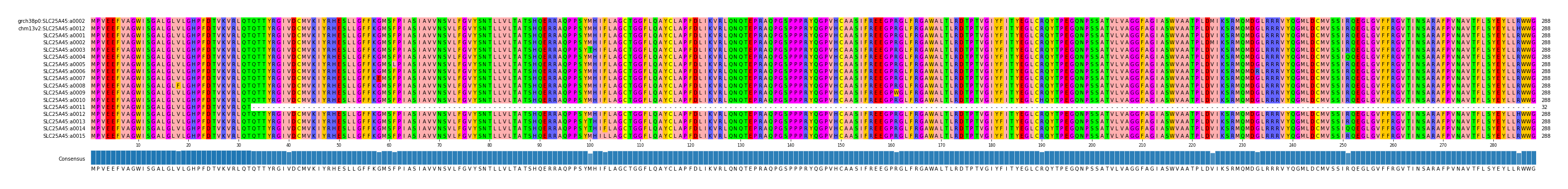 Multiple Alignments (by translate haplotype frequency)