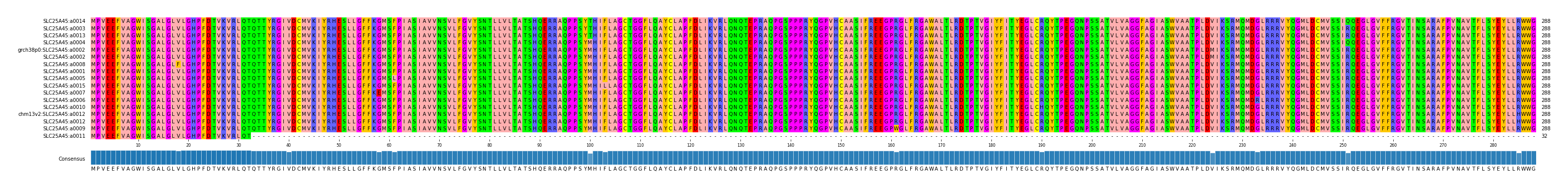 Multiple Alignments (by translate haplotype similarity)