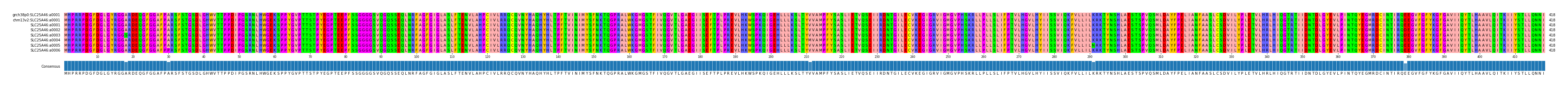 Multiple Alignments (by translate haplotype frequency)