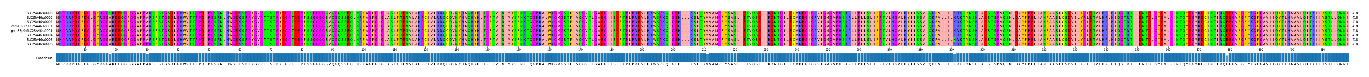 Multiple Alignments (by translate haplotype similarity)