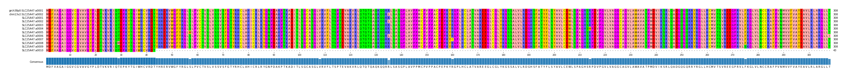 Multiple Alignments (by translate haplotype frequency)