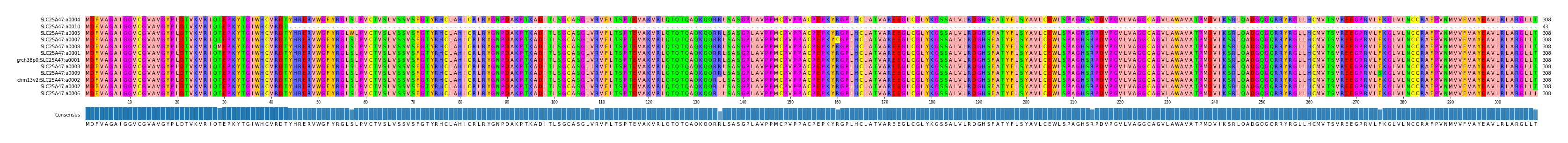 Multiple Alignments (by translate haplotype similarity)