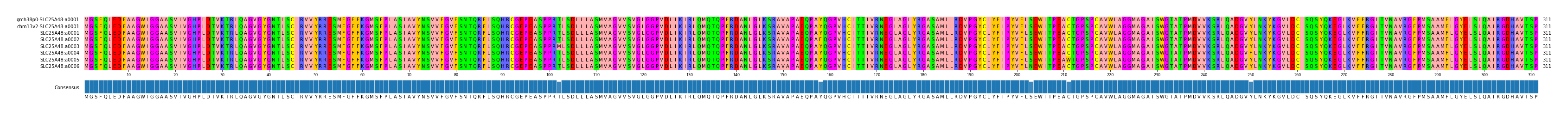 Multiple Alignments (by translate haplotype frequency)