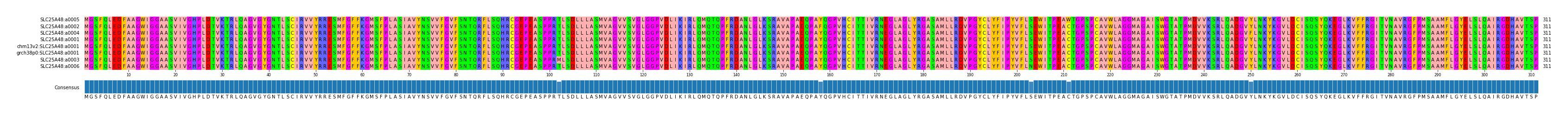 Multiple Alignments (by translate haplotype similarity)