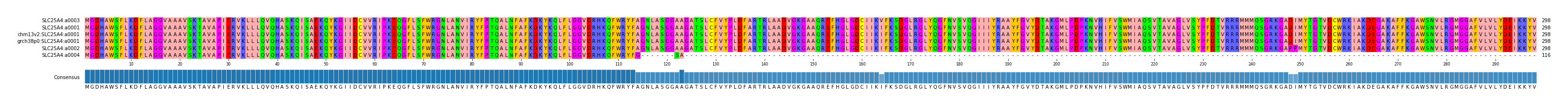 Multiple Alignments (by translate haplotype similarity)