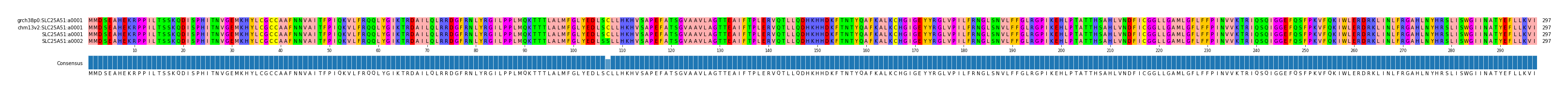 Multiple Alignments (by translate haplotype similarity)
