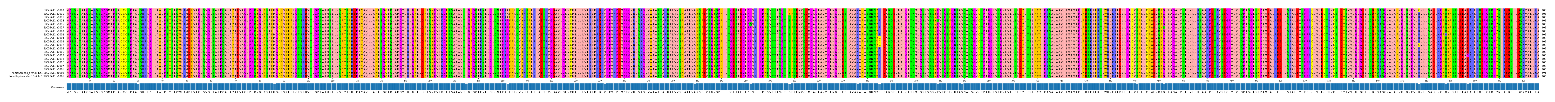 Multiple Alignments (by translate haplotype similarity)