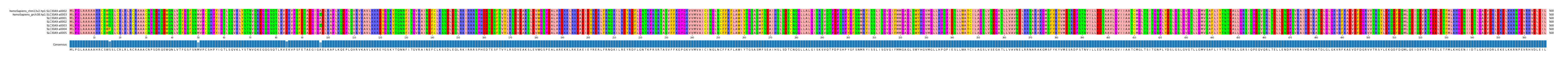 Multiple Alignments (by translate haplotype frequency)