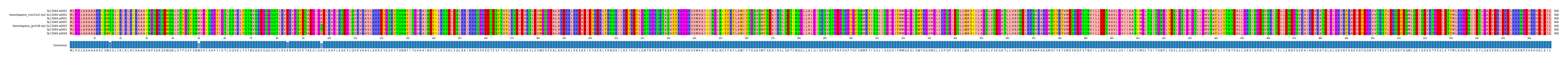 Multiple Alignments (by translate haplotype similarity)