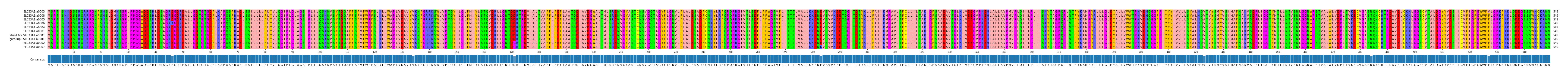 Multiple Alignments (by translate haplotype similarity)