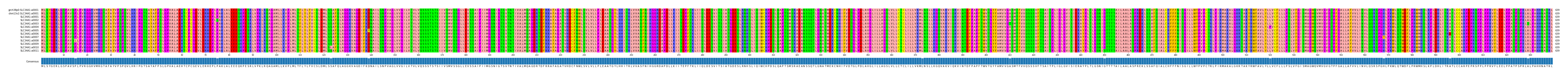 Multiple Alignments (by translate haplotype frequency)