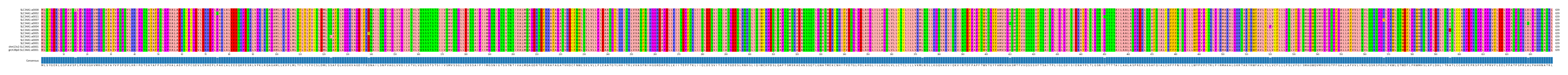 Multiple Alignments (by translate haplotype similarity)