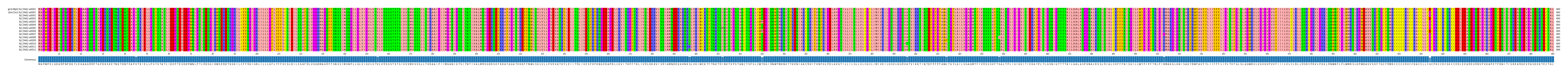Multiple Alignments (by translate haplotype frequency)