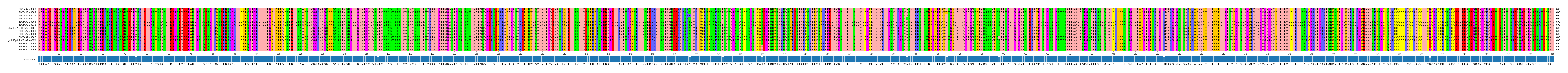 Multiple Alignments (by translate haplotype similarity)